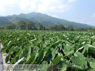 �߲�����x���~��ʣ���ʩ�߲��~��ʵ�ע�����