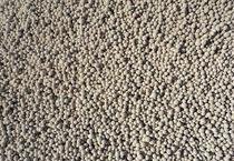 �쿴������V���ǲ��ǰ�ʩ�ˣ�