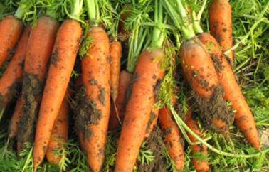 ���}���߮a(ch��n)���@����}���߮a(ch��n)ʩ�ʼ��g(sh��)