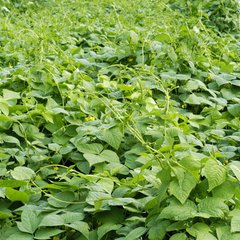 ��ˮa���ʺ���ԭ��