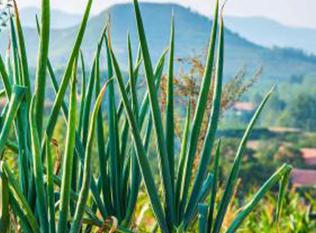 ���[ʩ�����v�����붬ǰ���[ʩ�ʼ���