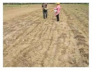 ʲô�ǉA�Է���������������Щ���ã�