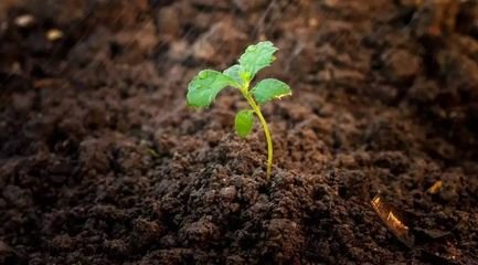 ��΢������ϡ��͡�΢����������Ѕ^(q��)�e�᣿