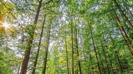 ˮ�ܷʃr��ߵ͑�����6000��20000��e��������