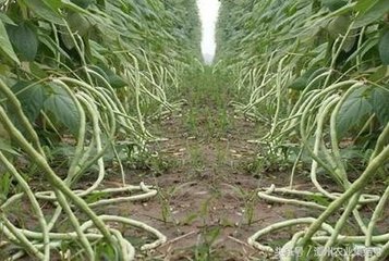 �|���׷���ôʩ