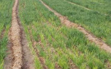 �_���÷ʸ߷�����10�N�����ϵġ����ɡ���֪������