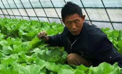 ������ʩ����Щ���c��������ʩ�Ĵ��c