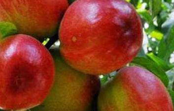 ����ȱ���ô�k����������ȱ⛰Y�ķ���