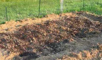 �׷ʝ���^�ߕ��������ȱ��