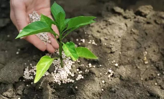 �����÷� �@���N���ϴ���ʹ�� ��ԇԇ��