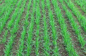 ��ǰС����Ή������룿�����@4�c�����a(ch��n)�����y