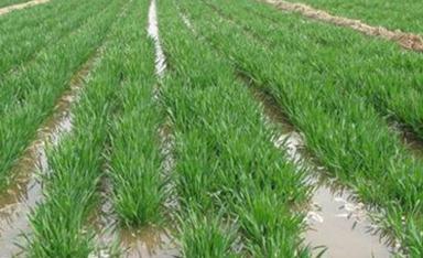 С��?zh��n)�ô�r�򝲷���ˮ����С��������ʩ�ʝ�