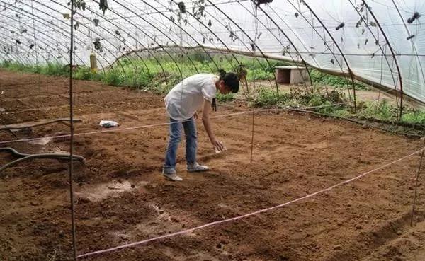 ���������������@Щ���W(xu��)���������ٲ������g�s����