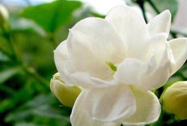 ����С֪�R(sh��)���\��ˮ���λ��~�l(f��)�S