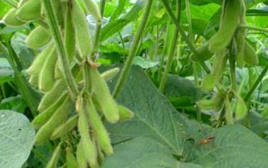 ����߲���ôʩ�ʣ�����߲�ʩ�ʼ���