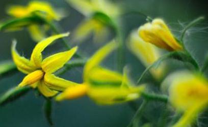 �������_���Y(ji��)�����a���ٸ߮a(ch��n)