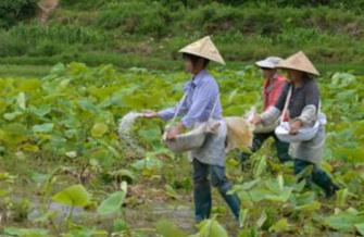 ���@��ʲô���ã��������ʩ���@���g(sh��)��