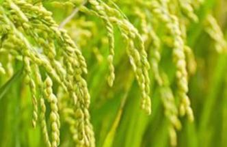 �㌦ˮ��׷���˽���٣�ˮ����οƌW׷�ʣ�