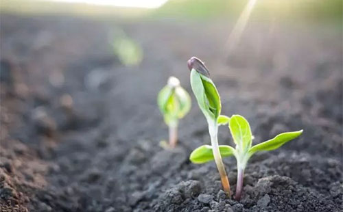 ����ȵ����������ЙC�|���֏ͺͱ������������ѽ����ڱ���