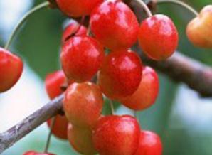 ��Ԫ����ʲô����������ȱ����ʲô�����