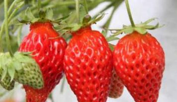 �㌦��ݮʩ�ʼ��g�˽���٣���ݮʩ�ʼ��gҪ�I