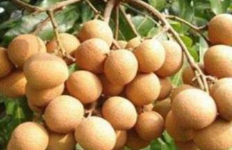 ����ʩ��Ҫע��Ć��}���������ۘ�ʩ�ʼ��g