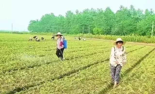 �����~�������ʡ�����X�����Ӵ_��ʹ��Ч����