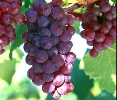 ���ʹ�ù����~��ʆ᣿�~��ʇ�ʩ�r�g������