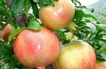 ʯ�������ʩ������Щע����헣�ʯ�������ʩ��Ҫ�c