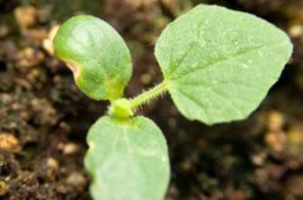 �@�����ЙC����������ĵط�