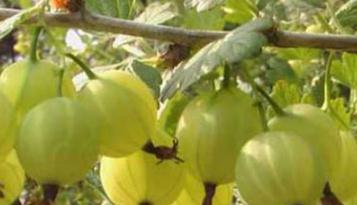 ���䠀����ô�k���������������ʩ�ʺ�