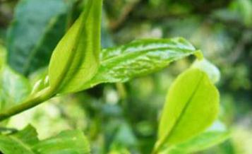 ���������ôʩ�ʣ���了�Ό��õ�ʩ�ʼ��g