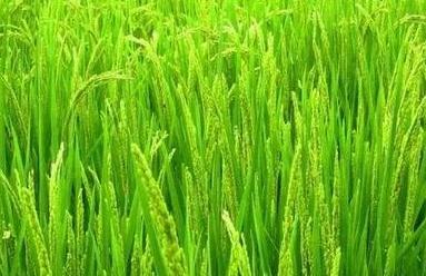 �������ʩ⛷������a������ʩ⛷������a�ķ�����