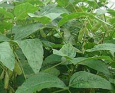 �󶹹���������M�и��⇊��