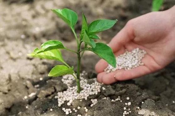 �׷��õĺ� С���a(ch��n)����