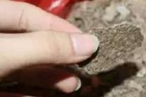 ���䠀����ԭ����֪���ᣬ��(l��i)������η��Σ�