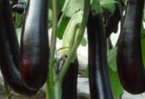 �����ļ�ʩ��ע����헣�����ʩ�õ��ʵķ���Ҫ�c