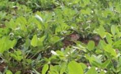 �߲�⛷�����ĕ��Æ᣿ʩ�á�⛷ʡ�֪�R������