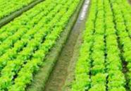 �����c�r�ҷ���ʩ��ע����Щ���}��