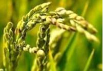 ����⛌�ˮ�������ã�ˮ����οƌW�a�䵪��⛣�