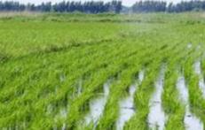 ˮ���߮a(ch��n)���ʩ�ʣ��r(n��ng)����Ҫ������Щʩ�ʼ��g(sh��)�أ�