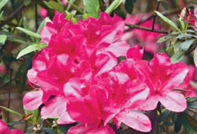 ���N��ʩʲô�ʺ������N���x��ʩ��ע�����