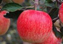 ⛷ʱ��Q�顰���ʡ����O��ʲô�r(sh��)��׷⛷ʣ�