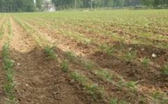 �ʺ���(l��i)�u������ԓ��β���������a(b��)�ȣ�