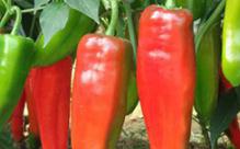 ������ʩ�ʹ������g��������������Լ�ע�����