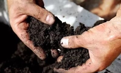 ʩ�þ��ʺ�Ч�������@�����ʿƌW(xu��)ʩ�ü��g(sh��)