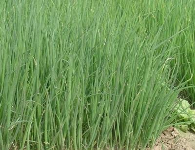 ��ߴ��[�a(ch��n)����ʩ�ʷ������@Щ���ɺ��P(gu��n)�I