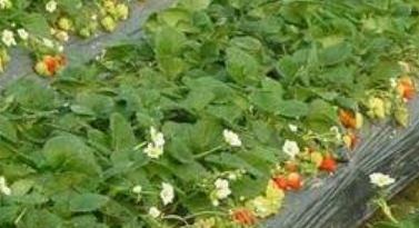 ʲô���������~��ʣ����ü����c���˽�ô��