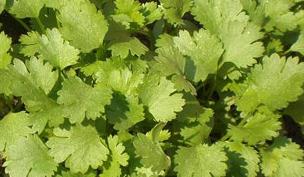 ������ʩ�ʣ����ʩ�ʷ���