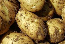 �R�����ôʩ�ʣ��R�����ʩ�ʷ����v��